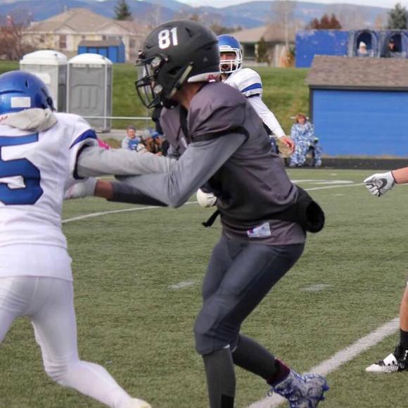 Meet your Posher, Logan - Picture 1 of 1